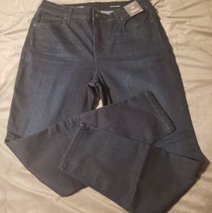 The Limited Mid Rise Skinny Jeans